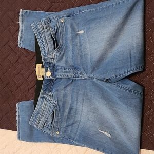 Democracy Jean Capris